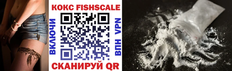 COCAIN Fish Scale  продажа наркотиков  Барыш 
