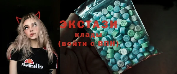 дмт Богородицк