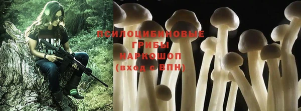 стаф Семёнов
