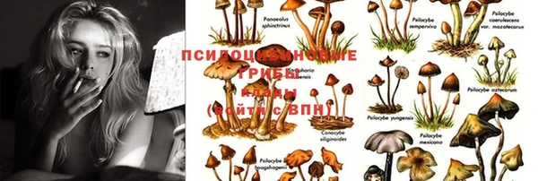 гидропоника Балабаново