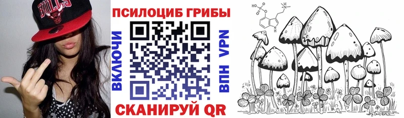 KRAKEN ссылка  Барыш  shop состав  Псилоцибиновые грибы Psilocybine cubensis 
